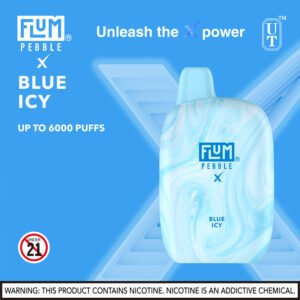 FLUM Pebble 6000 Puffs 10pk