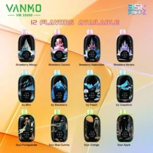 Vanmo VM 35000 Puffs 5pk